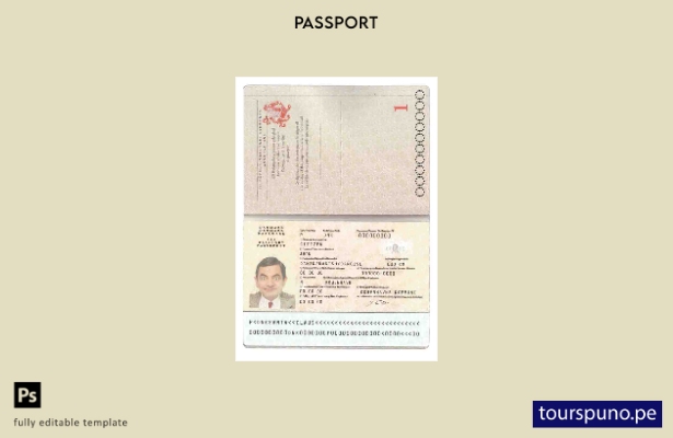 Plantilla de pasaporte de Dinamarca lista para imprimir